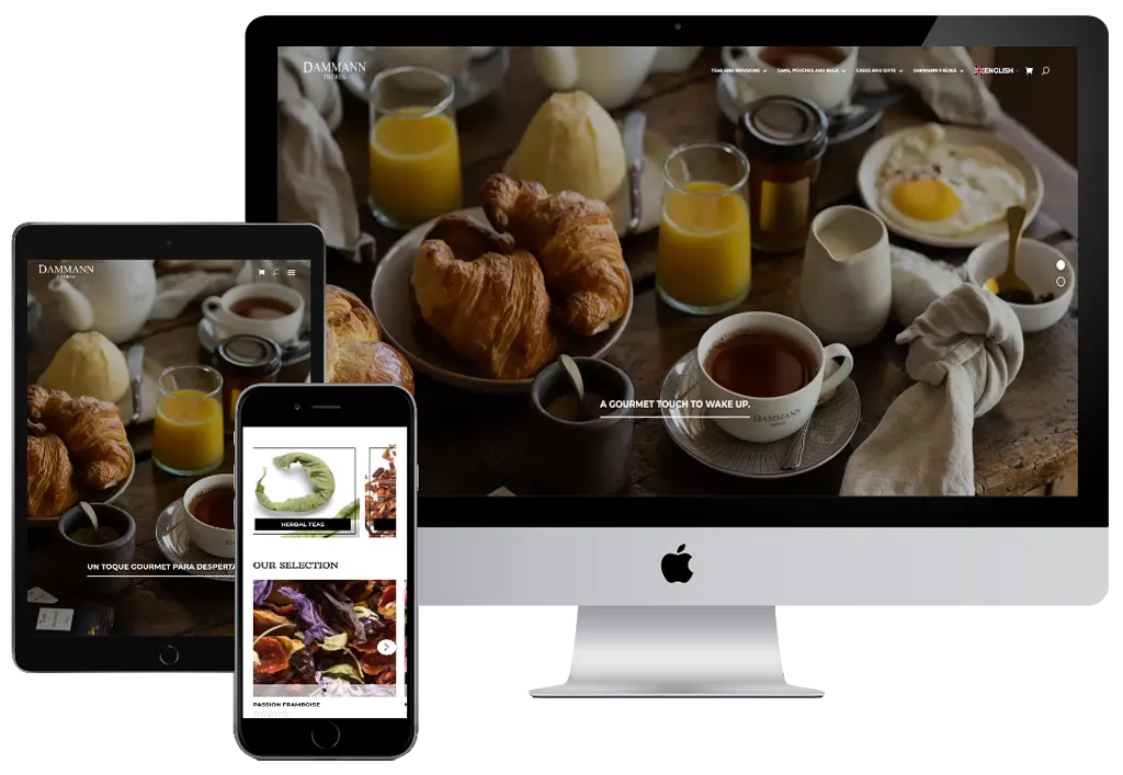 Dammann website featured